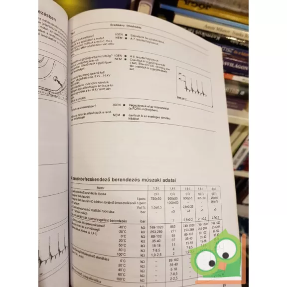 H.R. Etzold: Így csináld! - Ford Escort, Ford Orion