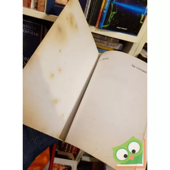 H.R. Etzold: Így csináld! - Ford Escort, Ford Orion