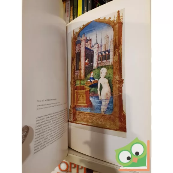 Radocsay Dénes - Soltész Zoltánné - Szántó Tibor (szerk.): Francia és németalföldi miniatúrák Magyarországon (ritka)