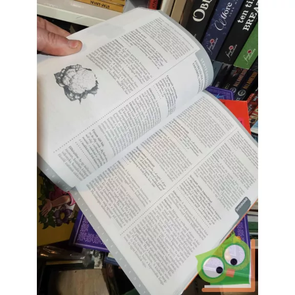 Frank Júlia: Óriás szakácskönyv kezdőknek és haladóknak