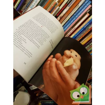 Magyar Eszter: Frici, Manó, Nudli és a többiek