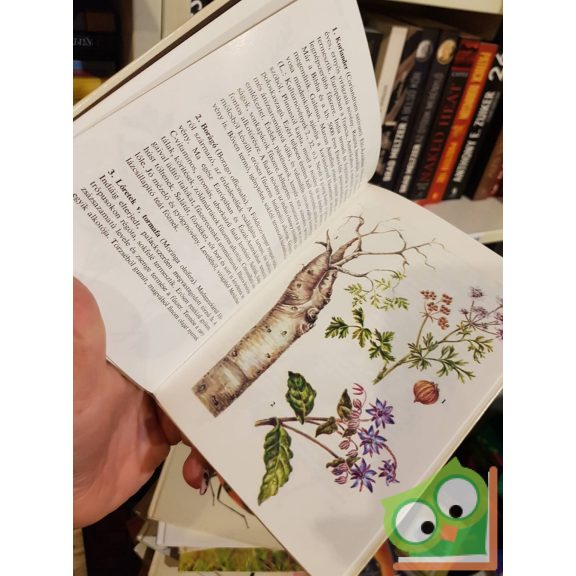 Járainé Komlódi Magda: Fűszernövények (Búvár zsebkönyvek)