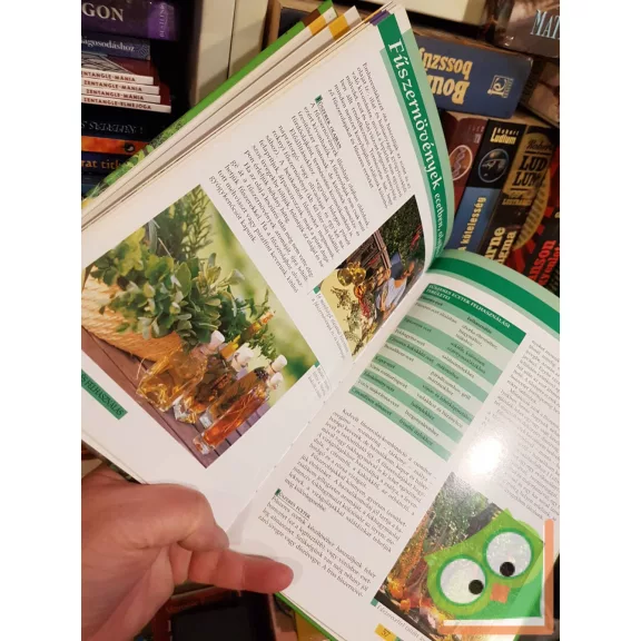 Dr. Paul Seitz: Fűszernövények (lépésről lépésre sorozat)