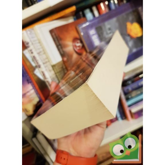 Gail Z. Martin: A hamu zsarnoksága (A Felvirágzó Birodalmak 2.)