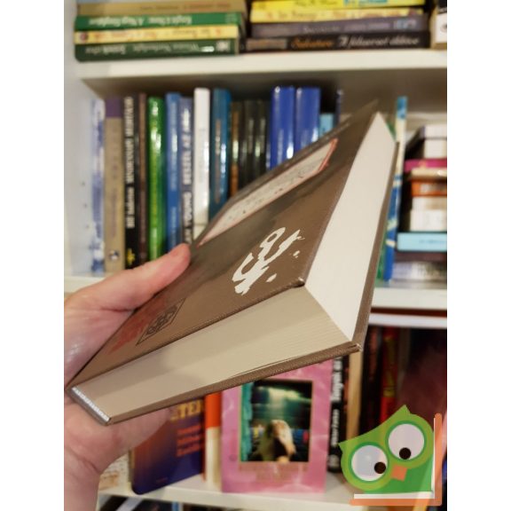 Berg Judit: Galléros ​Fecó titkos naplója