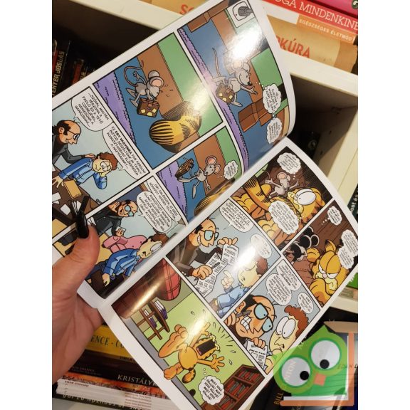 Jim Davis: Garfield 10. különszám