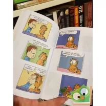 Jim Davis: Zseb-Garfield 100 - Az aranytoll-díjas