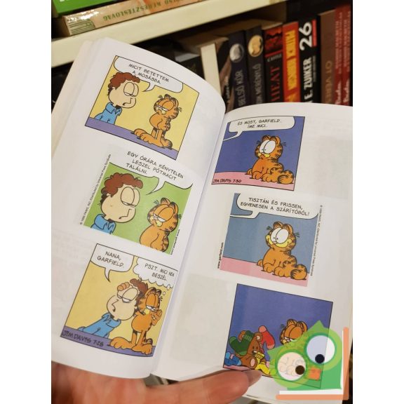 Jim Davis: Zseb-Garfield 100 - Az aranytoll-díjas