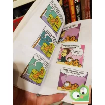 Jim Davis: Zseb-Garfield 104 - Fátylat a múltra