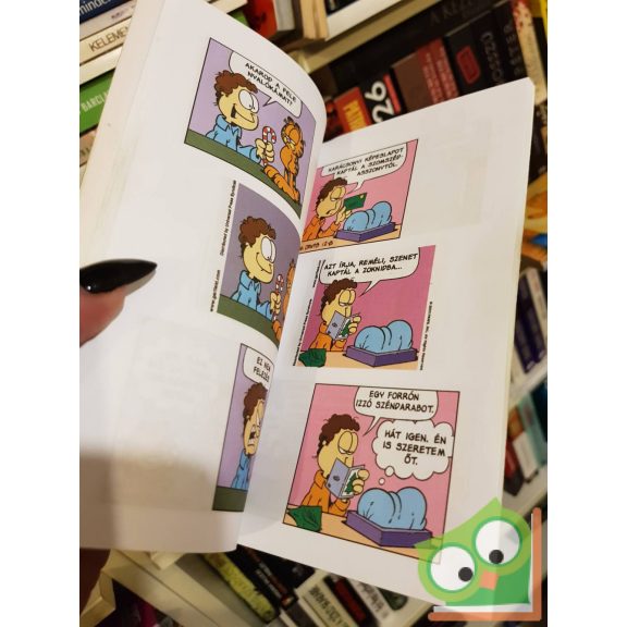 Jim Davis: Zseb-Garfield 113 - De ​jól szól!