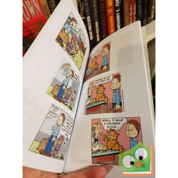 Jim Davis: Zseb-Garfield 139 - Enni vagy aludni? (ritka)