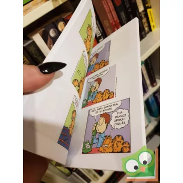 Jim Davis: Zseb-Garfield 140 - Felrúgásban király vagyok!