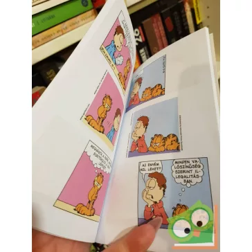 Jim Davis: Zseb-Garfield 145 - Ripitya lakásszerviz (ritka)