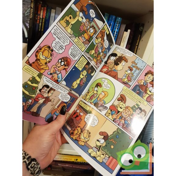 Jim Davis: Garfield 17. különszám