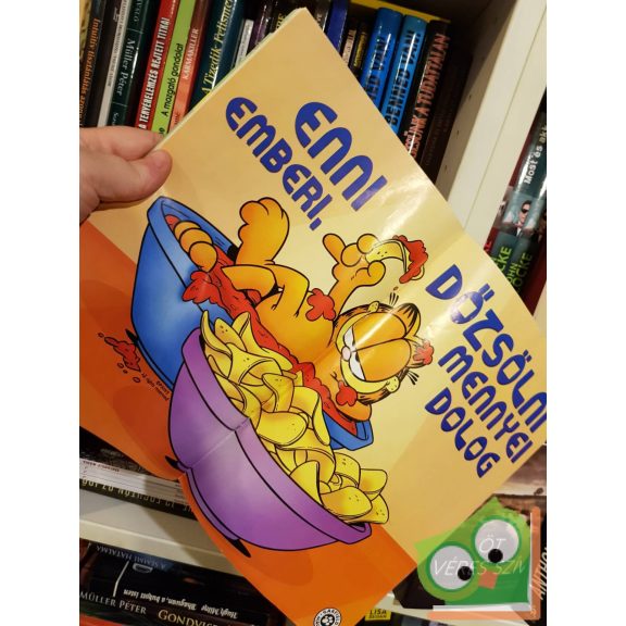 Garfield 2002/4. Április 148.szám (Poszterrel)