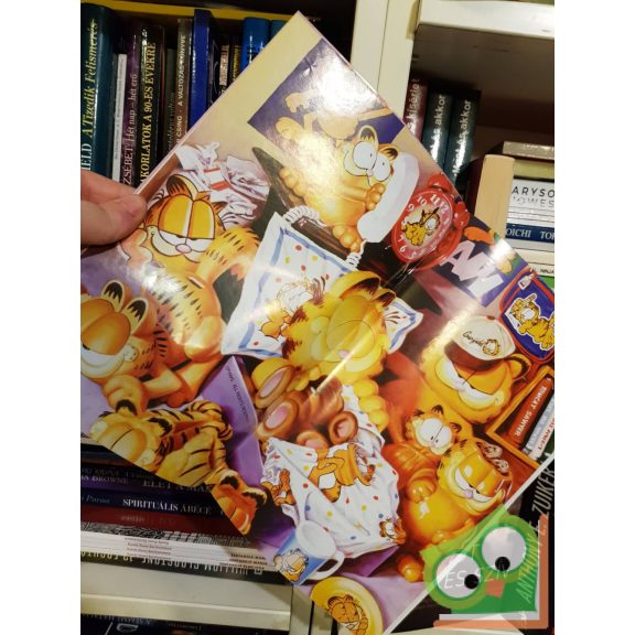 Garfield 2013/Június 279. szám (Poszterrel)