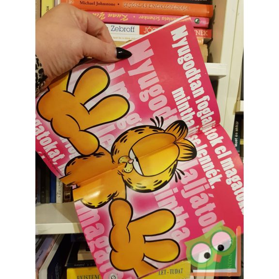 Jim Davis: Garfield 213. 2007. szeptember, poszterrel