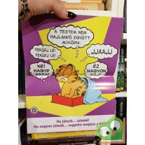 Jim Davis: Garfield 263. 2012. február, poszterrel