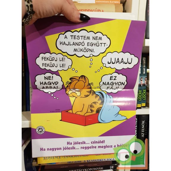 Jim Davis: Garfield 263. 2012. február, poszterrel