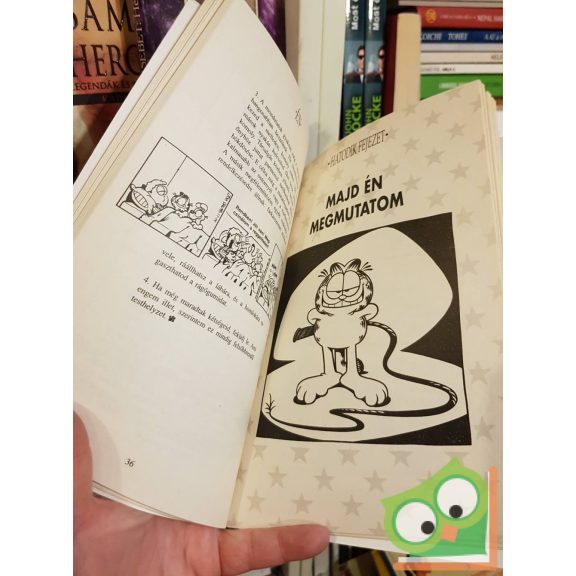 Jim Davis: Az én nagykönyve