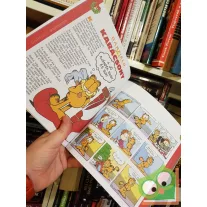 Jim Davis: Garfield Kisokos