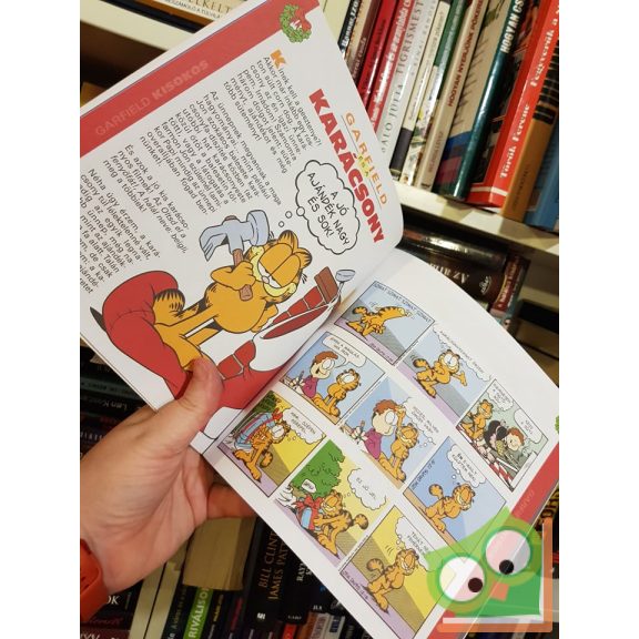 Jim Davis: Garfield Kisokos