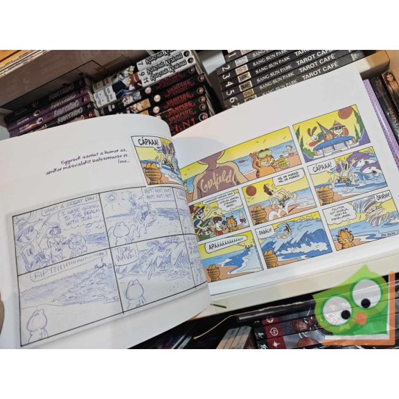 Jim Davis: Garfield nagyban 2. - Legjobb poénjaim 1992-től 2013-ig