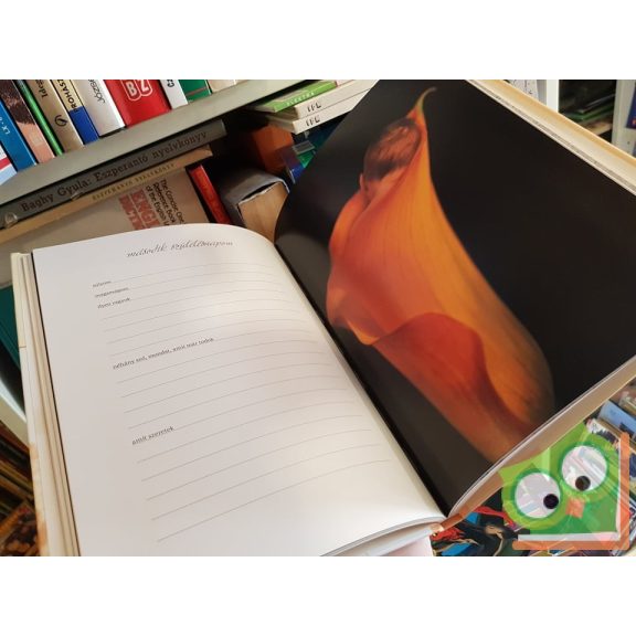 Anne Geddes: Első öt évem (Fóliás!)