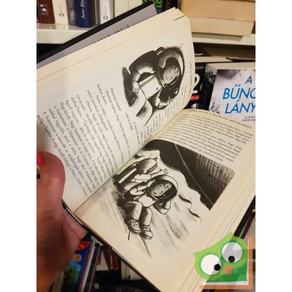 Lucy Hawking - Stephen Hawking: George kulcsa a rejtélyes univerzumhoz (George, a Kozmosz és az univerzum 1.)