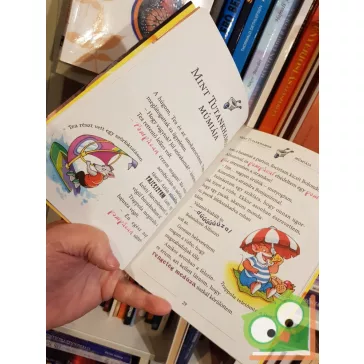  Geronimo Stilton: A tűzvörös rubin temploma (Geronimo Stilton 32.)