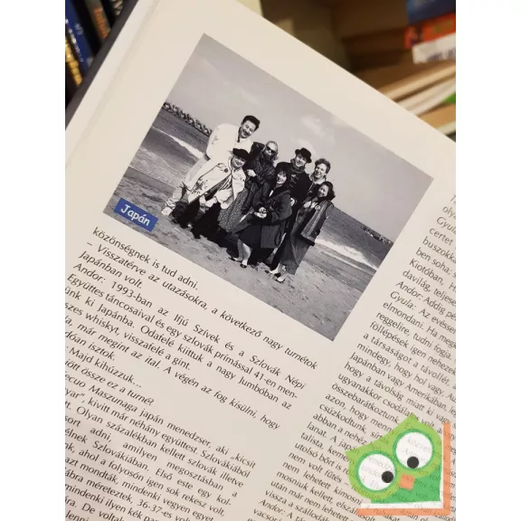 Medgyesi Gabriella (szerk.), Ujfalussy Béla (szerk.): Ghymes