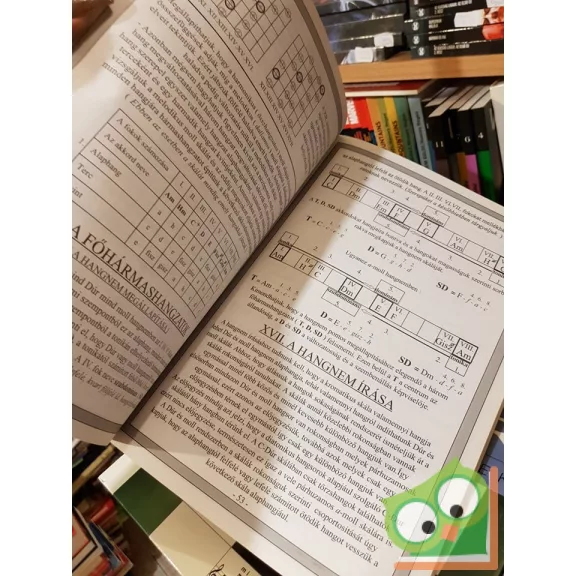 Andrásik Remo:  Gitár kézikönyv (elméleti és gyakorlati alapismeretek)   (Ritka)