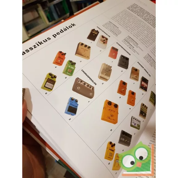 Dave Hunter (szerk.): A gitár Útmutató zenészeknek  (Ritka)