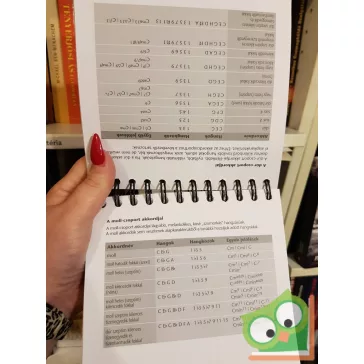 Pietro Saggio Pescatore: Gitárakkordok kézikönyve (ritka)