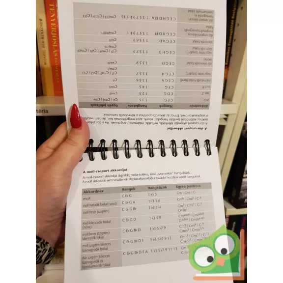 Pietro Saggio Pescatore: Gitárakkordok kézikönyve (ritka)