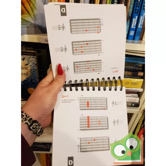 Pietro Saggio Pescatore: Gitárakkordok kézikönyve (ritka)