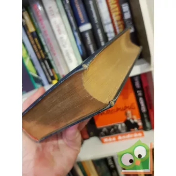   Johann Wolfgang Goethe: Goethe költeményei (Dóczi Lajos munkái 10. Kötet )