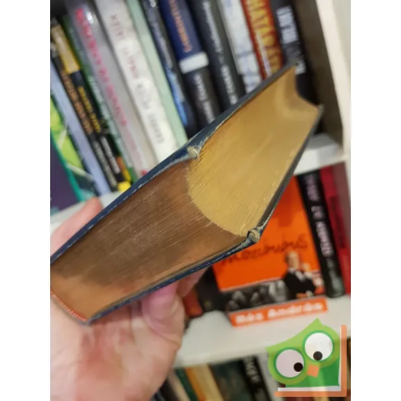 Johann Wolfgang Goethe: Goethe költeményei (Dóczi Lajos munkái 10. Kötet )