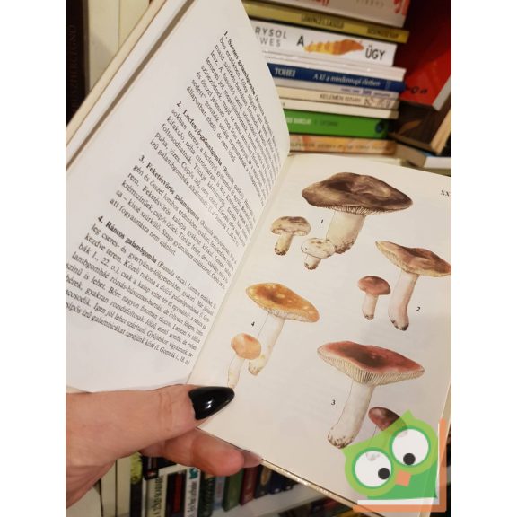 Babos Lórántné: Gombák 2. (Búvár zsebkönyvek)