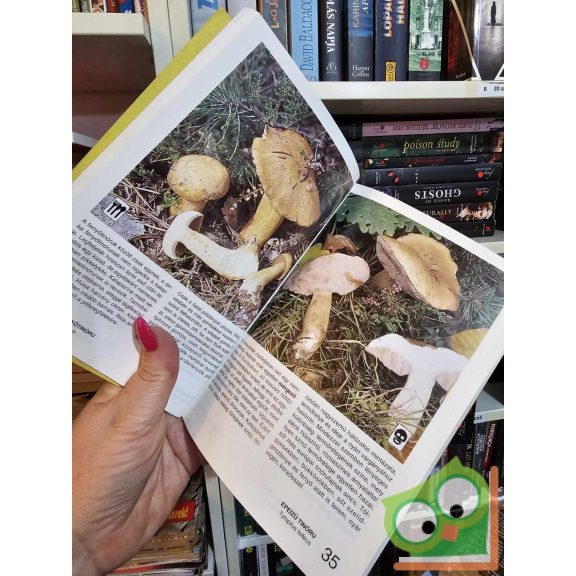 Rimóczi Imre: Gombaválogató 1. (ritka)