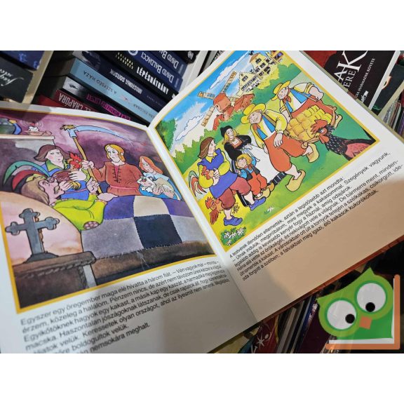 Jakob Grimm - Wilhelm Grimm: Az aranylúd / A három szerencsefia / Az aranymadár / Az ördög három aranyhajszála