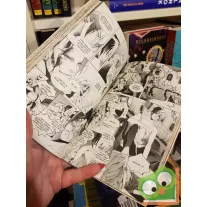 Ishiyama Kei: Grimm mesék - Manga 2.