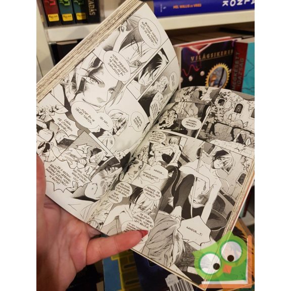 Ishiyama Kei: Grimm mesék - Manga 2.