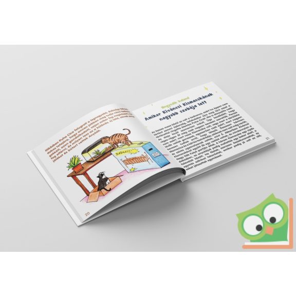 Borenszki-Gutási Éva: Puha cica és Kíváncsi Kismacska kalandjai