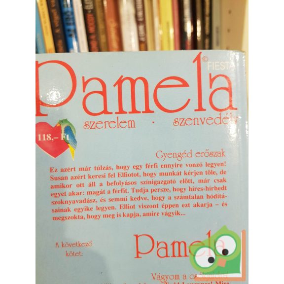 Julie Warren: Gyengéd erőszak (Pamela)