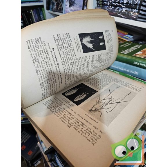 Gruber Ferenc: A gyep hasznos és káros növényei