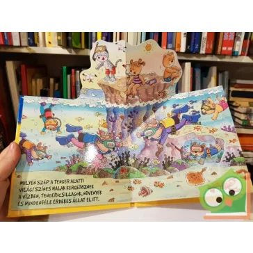 Gyere velünk a strandra (Gyere velünk!)