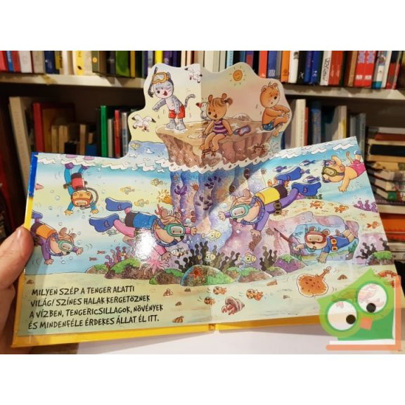 Gyere velünk a strandra (Gyere velünk!)