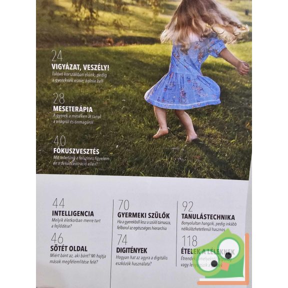 Gyereklélek pszichológiai magazin 2018/2