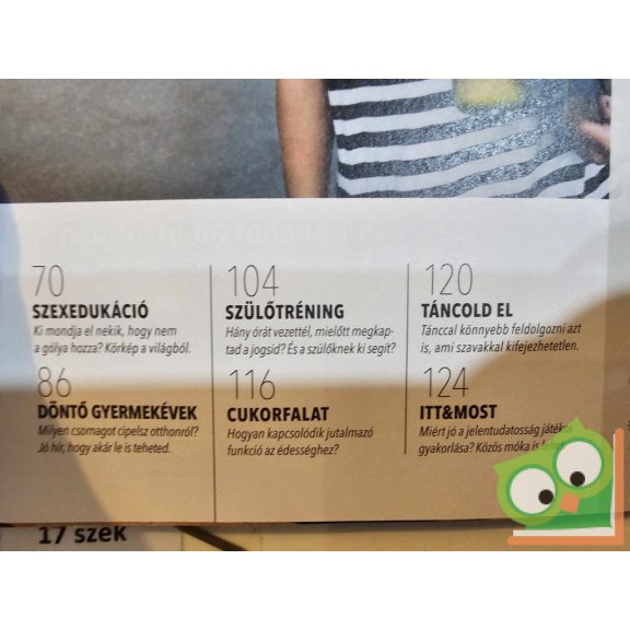 Gyereklélek pszichológiai magazin 2019/3